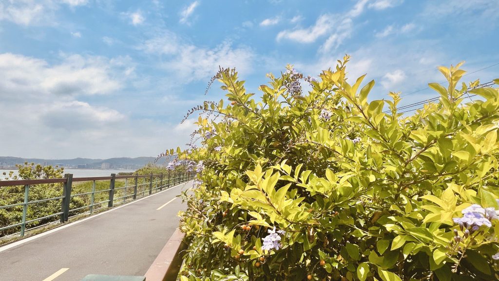 [Ceréna莫笑] fairyland.tw 台灣建築考察 - 台北社子島水岸綠洲與兩河交會自然景觀攝影