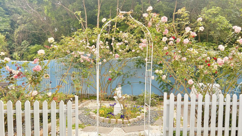 [Ceréna莫笑] fairyland.tw 台灣建築考察 - 彰化田尾紅房子英式建築與玫瑰花園攝影