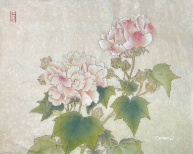 芙蓉 Confederate Rose